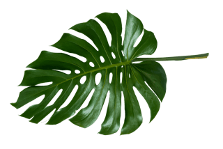 Restaurant Le Grignot - Spécialités françaises de viandes normandes, poisson grillé et fruits de mer dans un décor de vieux bistrot