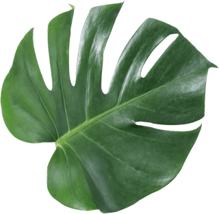 Restaurant Le Grignot - Spécialités françaises de viandes normandes, poisson grillé et fruits de mer dans un décor de vieux bistrot