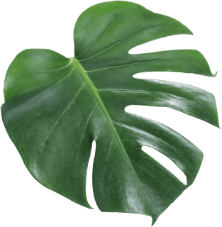 Restaurant Le Grignot - Spécialités françaises de viandes normandes, poisson grillé et fruits de mer dans un décor de vieux bistrot